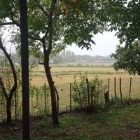 زمین 750/m با پروانهساخت سنگر/سراوان /قاضیان|فروش زمین و ملک کلنگی|رشت, منظریه|دیوار