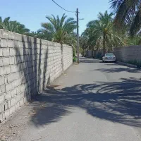 فروش ۲۰۱ متری|فروش دفتر صنعتی، کشاورزی، تجاری|بم, |دیوار