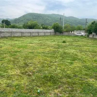 زمین جنگلی باپروانه ساخت