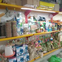 انواع عروس هلندی بار جدید