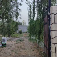 باغ و باغچه در قاسم اباد بزرگ خیابان ارکیده ۱۰|فروش خانه و ویلا|هشتگرد, قاسم آباد بزرگ|دیوار