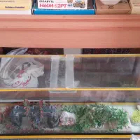 آکواریوم با کلبه چوبی و تمامی وسایل (بسیار تمیز )