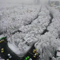 استخدام راننده با وانت مزدا یا پراید