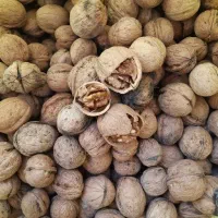 گردو خشک محلی
