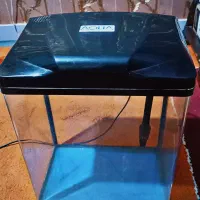 آکواریوم شرکتی آکوا