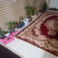 لکه گیری گجکاری سیمانکاری