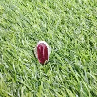 انگشتر یاقوت سرخ|جواهرات|بم, |دیوار