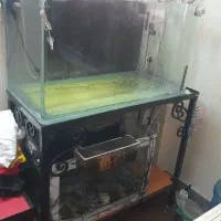 آکواریوم شرکتی شیشه خم