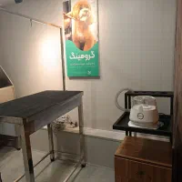 آموزش آرایش و پیرایش سگ و گربه