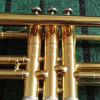 ترومپت برزیلی|سازهای بادی|بهشهر, |دیوار