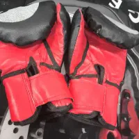 دستکش بوکس|تجهیزات ورزشی|بوشهر, |دیوار