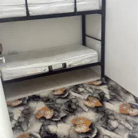 خوابگاه دخترانه نفیس ۲دروازه دولت|اجارهٔ خانه و ویلا|تهران, امجدیه (خاقانی)|دیوار