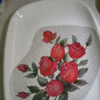 یک جفت دیس ملامین