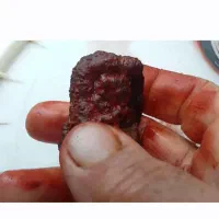 سنگ هبهاب خونین اصل