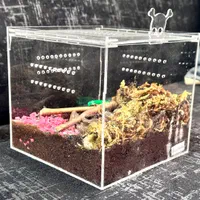 فروش انکلوژر  تارانتولا