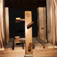 سه تار حرفه‌ای