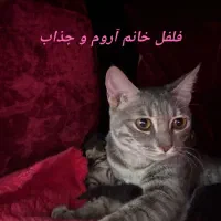 واگذاری رایگان