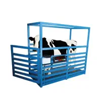 باسکول دامکش سبک و سنگین