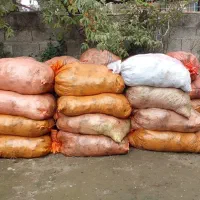 فروش پهن خشک گاو کهنه در کیسه|لوازم جانبی حیوانات|اسالم, |دیوار