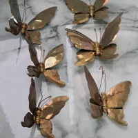 پروانه برنزی