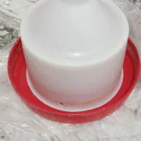 جا دانی و جا آبی پرنده