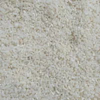 نیم دانه ریز دمسیاه|خوردنی و آشامیدنی|کوچصفهان, |دیوار