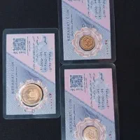 سرمایه پرداخت میشه