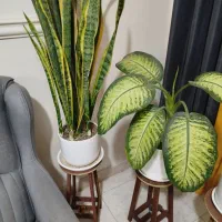 گل و گلدان فروشی