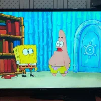 ال ای دی 43اسنوا