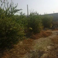 فروش زمین باغشهری مسکونی دهقاعد