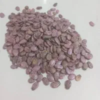 فروش کود مرغی با کیفیت و بذر هندوانه زعفرانی|خدمات باغبانی و درختکاری|اصفهان, برازنده|دیوار