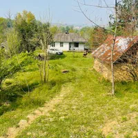 مثه این زمین نداریم خدایش تو گیلان صفر جنگل|فروش زمین و ملک کلنگی|شفت, |دیوار