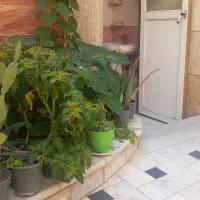 سوئیت برای مسافران|اجارهٔ کوتاه‌مدت آپارتمان و سوئیت|کاشان, لتحر|دیوار