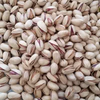 پسته احمد آقایی خندان