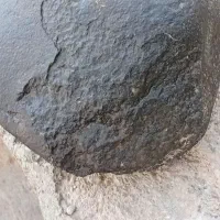 پوسته دارد