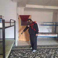 سمپاشی تضمینی ارگانیک حشرات موذی شمال|خدمات نظافت|گرگان, |دیوار