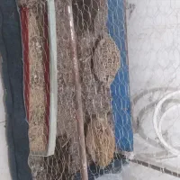 بلدرچین تخمگذار معاوضه با