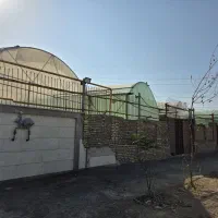 گلخانه فروش در حال کشت خیار|فروش دفتر صنعتی، کشاورزی، تجاری|خاوران, |دیوار