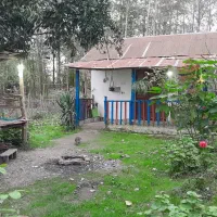 سوئیت دوخوابه و خونه سنتی تا ۳نفر ۳۵۰|اجارهٔ کوتاهمدت آپارتمان و سوئیت|ماسال, |دیوار