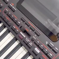 ارگ pa4xاورینتال|پیانو، کیبورد، آکاردئون|درگزین, |دیوار