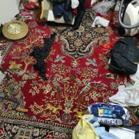 3 تا فرش 12 متری سالم|فرش|گرگان, |دیوار