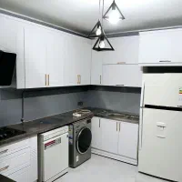 اجرای صفر تا صد کابینت ساخت تا نصب تعمیرات|آبچکان و نظمدهنده ظروف|تهران, فردوس|دیوار