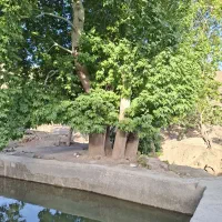 باغ-ویلا-درشهردرود