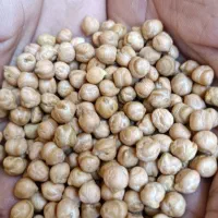 نخود عالی و درجه 1|خوردنی و آشامیدنی|اصفهان, خواجو|دیوار