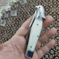 چاقو طرح طوطی