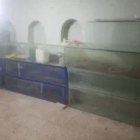 آکواریوم آماده در ابعاد بزرگ