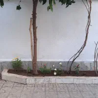 اجاره خانه ویلایی طبقه اول|اجارهٔ خانه و ویلا|تهران, شارق|دیوار