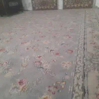 فرش کاشان ۷۰۰ شانه|فرش|تربتحیدریه, فرمانداری|دیوار