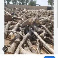 خریدار انواع چوبهای باغی یا هر چوب دیگری تر یا خشک|خدمات باغبانی و درختکاری|سلمان‌شهر, |دیوار