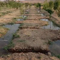 باغ 1700 متری در آبگرم